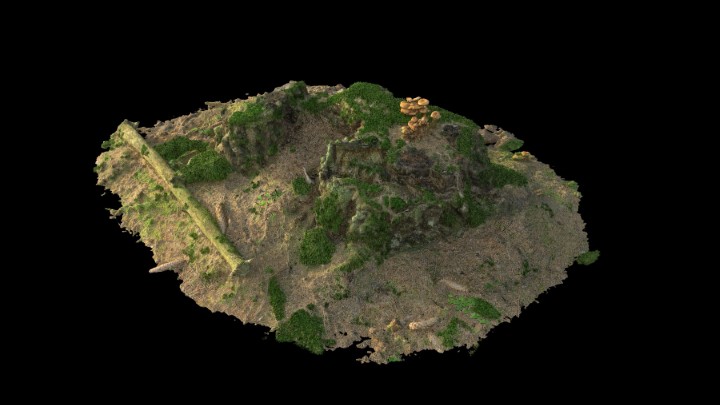 渲染模型_野外树根树桩013