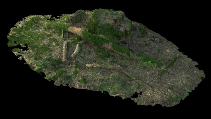 渲染模型_野外树根树桩014