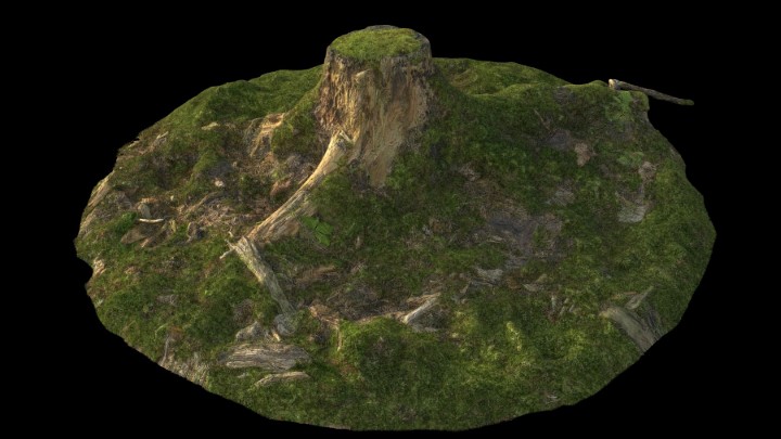 渲染模型_野外树根树桩016