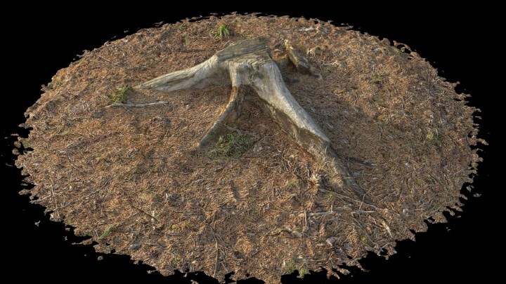 渲染模型_野外树桩001