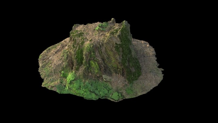 渲染模型_野外树桩010