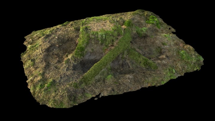 渲染模型_野外树桩025