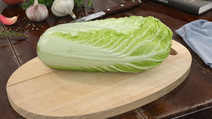 渲染模型_食物142