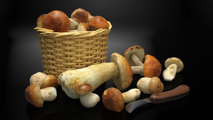 渲染模型_食物合集001