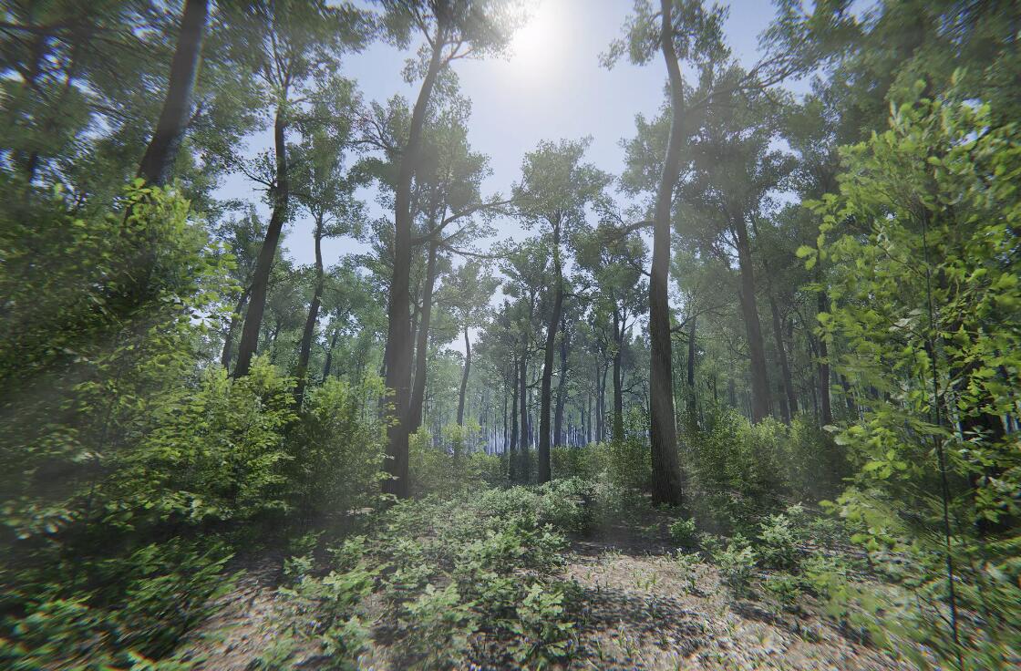 Oak Forest Environment v1.2自然