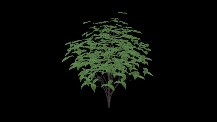 UE项目资源_模型资源_农作物028