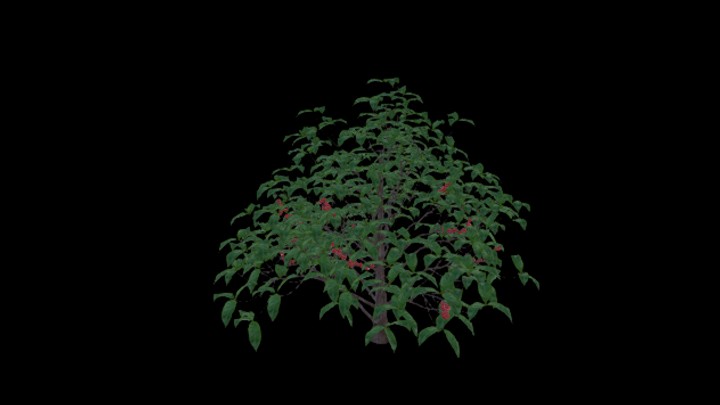 UE项目资源_模型资源_农作物063