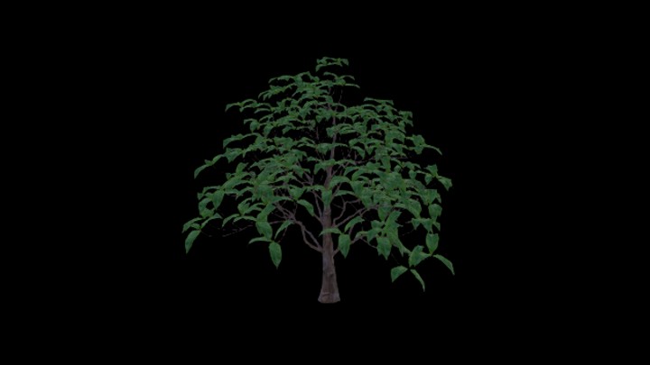 UE项目资源_模型资源_农作物067