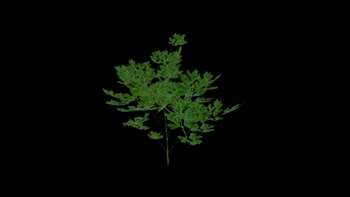 UE项目资源_模型资源_农作物151