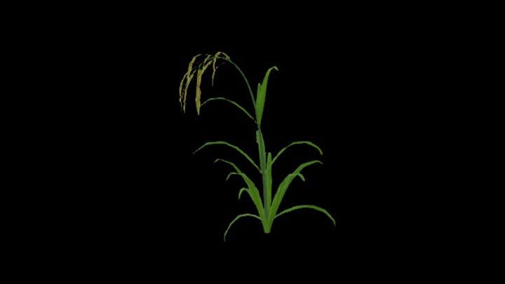 UE项目资源_模型资源_农作物182