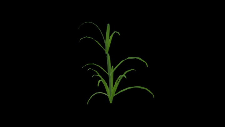 UE项目资源_模型资源_农作物185