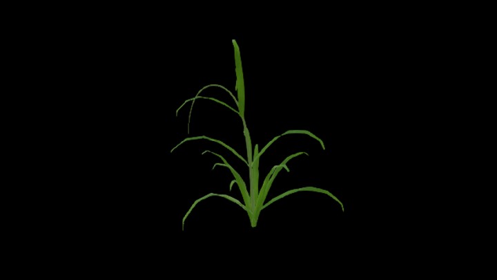 UE项目资源_模型资源_农作物187