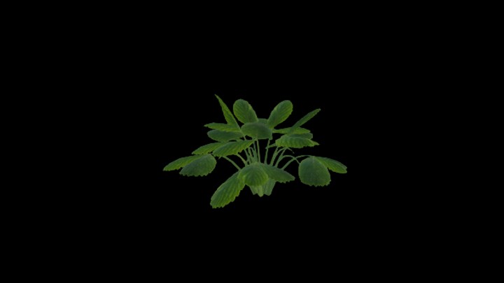 UE项目资源_模型资源_农作物200