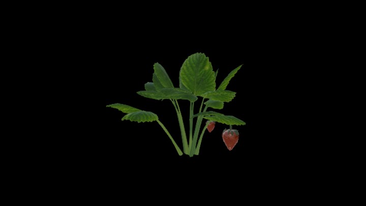 UE项目资源_模型资源_农作物201