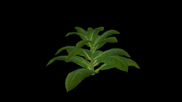 UE项目资源_模型资源_农作物223