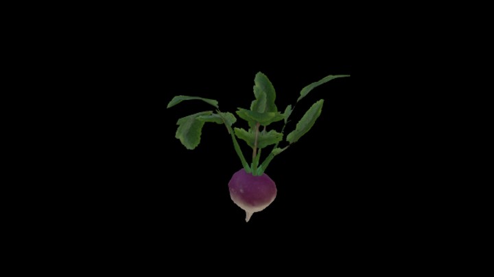 UE项目资源_模型资源_农作物236