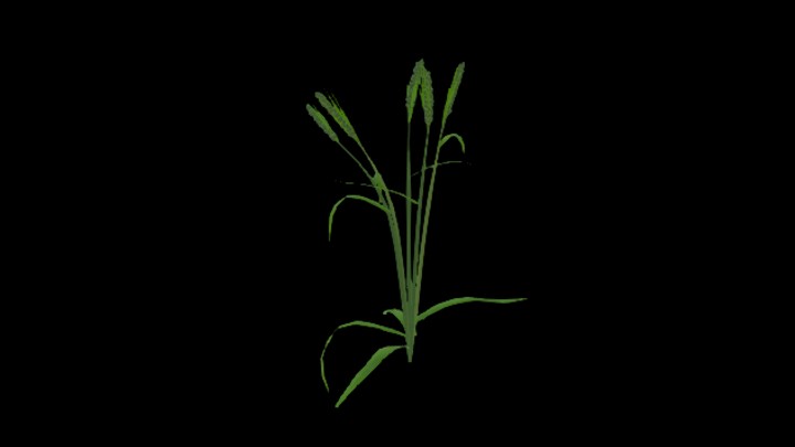 UE项目资源_模型资源_农作物252