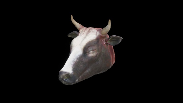 UE项目资源_模型资源_动物尸体002