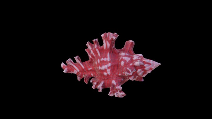 UE项目资源_模型资源_卡通_海螺003