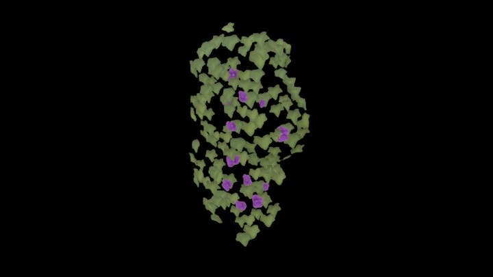 UE项目资源_模型资源_卡通_爬藤022
