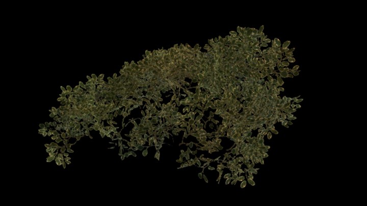 UE项目资源_模型资源_卡通_草004