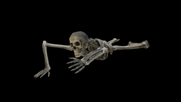 UE项目资源_模型资源_卡通_骷髅003