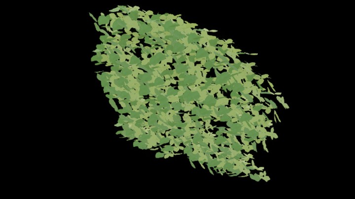 UE项目资源_模型资源_叶子024