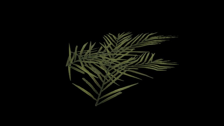 UE项目资源_模型资源_叶子029