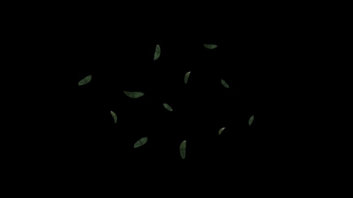 UE项目资源_模型资源_叶子036