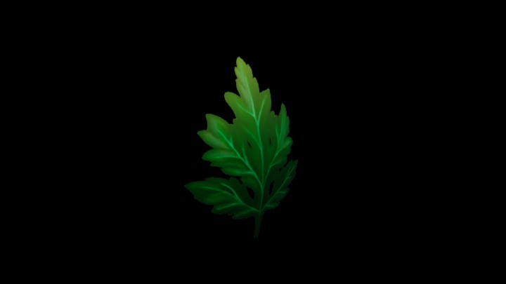 UE项目资源_模型资源_叶子039