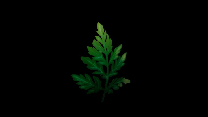 UE项目资源_模型资源_叶子040