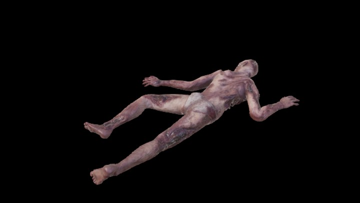 UE项目资源_模型资源_尸体027