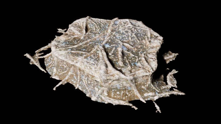 UE项目资源_模型资源_岩石533