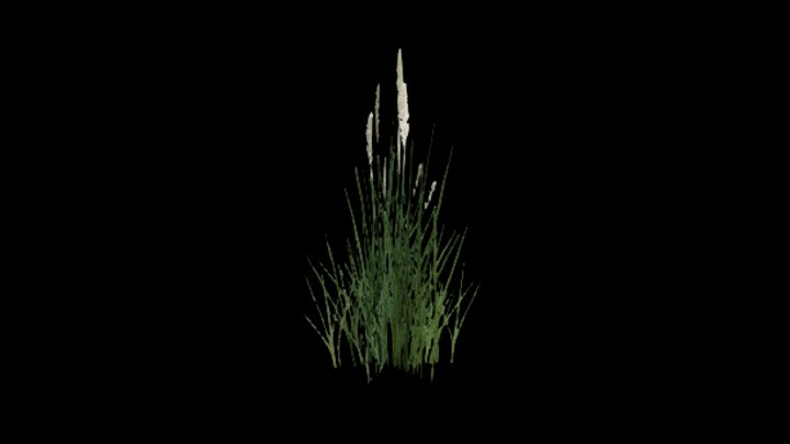 UE项目资源_模型资源_杂草066