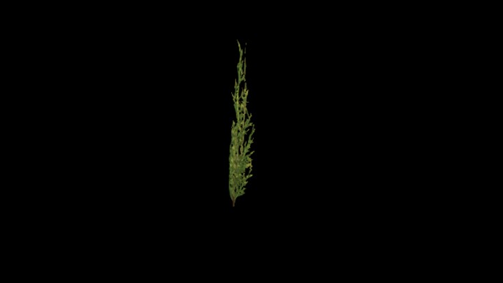 UE项目资源_模型资源_杂草073