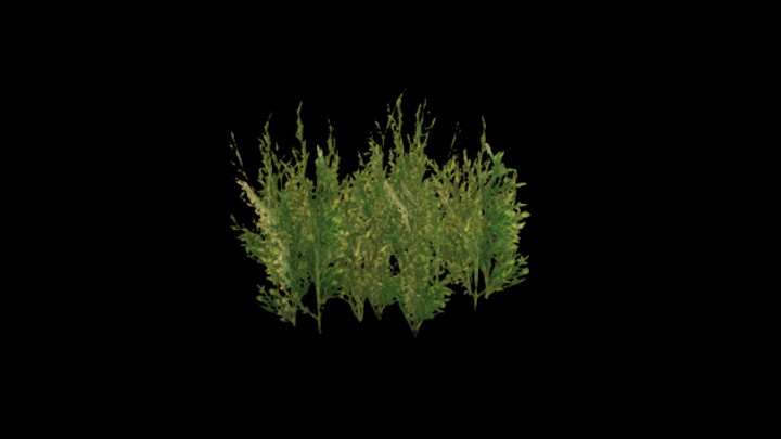 UE项目资源_模型资源_杂草076