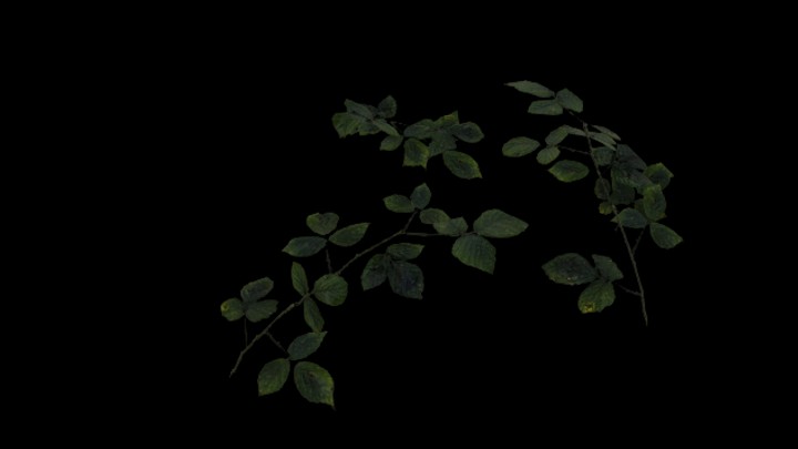 UE项目资源_模型资源_枝叶001