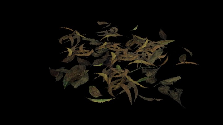 UE项目资源_模型资源_枯叶032