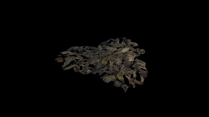 UE项目资源_模型资源_枯叶033
