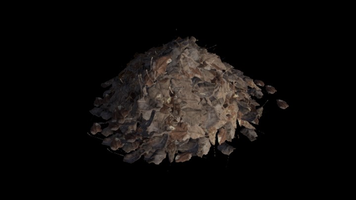 UE项目资源_模型资源_枯叶036