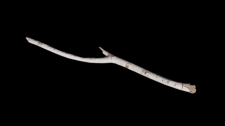 UE项目资源_模型资源_枯树111