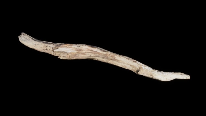 UE项目资源_模型资源_枯树113