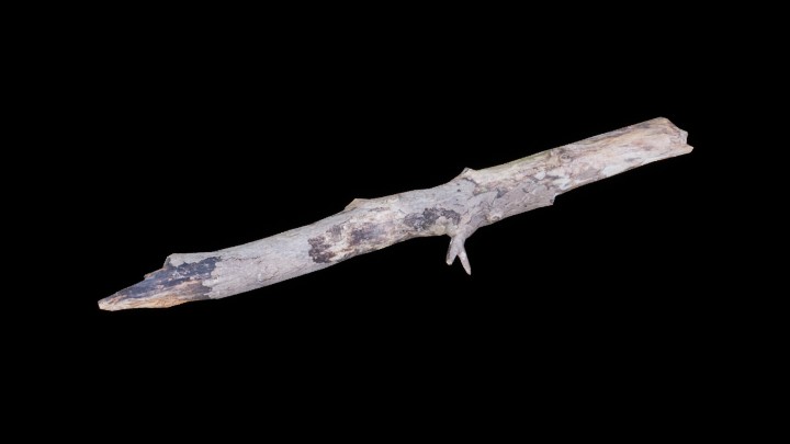 UE项目资源_模型资源_枯树116