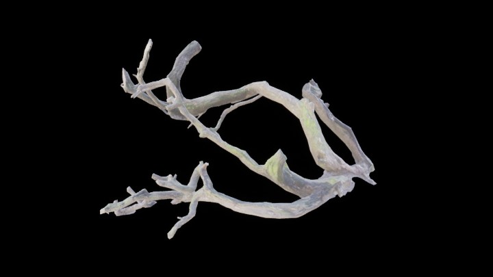 UE项目资源_模型资源_枯树118