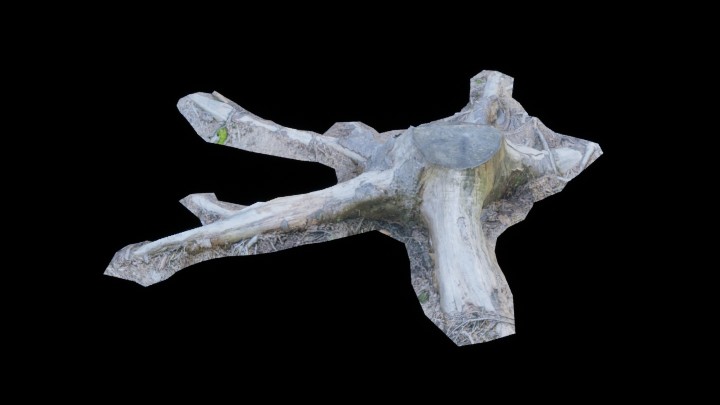 UE项目资源_模型资源_枯树133