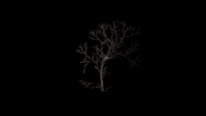 UE项目资源_模型资源_枯树137
