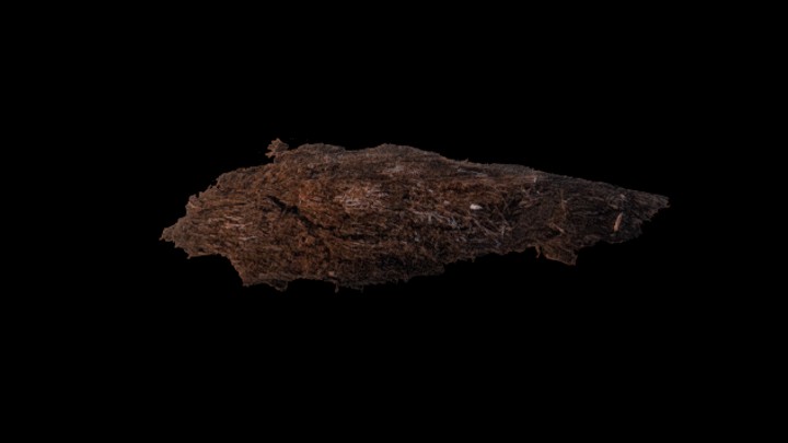 UE项目资源_模型资源_枯树147