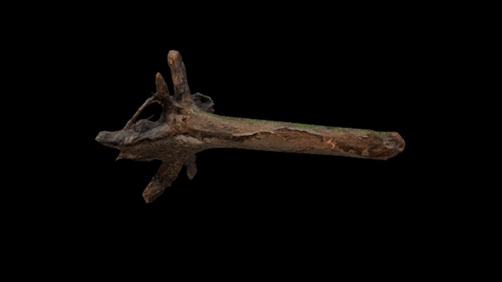 UE项目资源_模型资源_枯树153