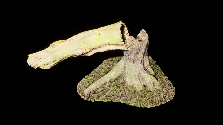 UE项目资源_模型资源_枯树163