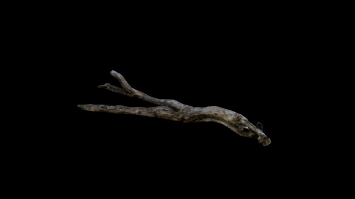 UE项目资源_模型资源_枯树枝091